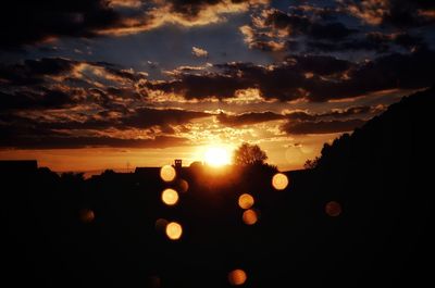 Close-up of silhouette plants against sky during sunset