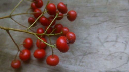 Close-up of red chili peppers