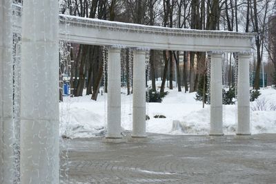 View of icicles against trees in winter