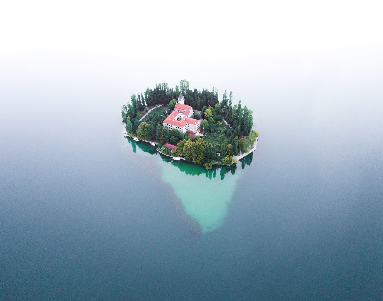 HIGH ANGLE VIEW OF PLANT ON SEA