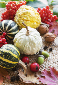 Fall composition with multi color pumpkins on rustic background