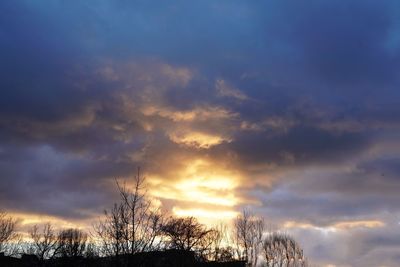 Silhouette trees against dramatic sky during sunset