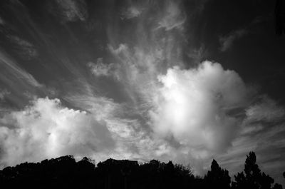 Low angle view of silhouette trees against sky