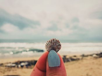 Cropped hand of woman holding seashell at beach against sky