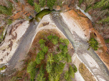 High angle view of road amidst trees