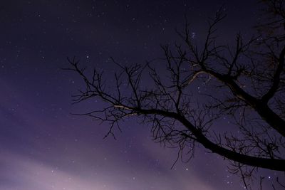 Low angle view of silhouette bare tree against clear sky at night