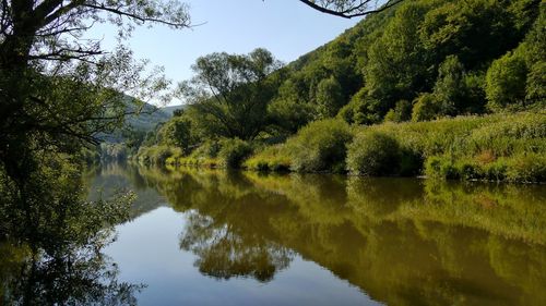 Reflection of trees in lake against sky