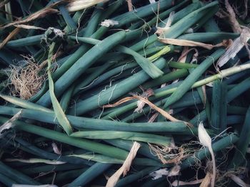 High angle view of vegetables