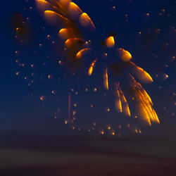 Low angle view of fireworks against sky at night