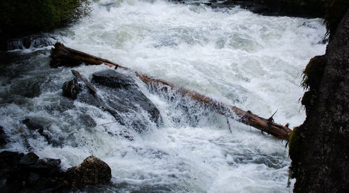 Scenic view of waterfall