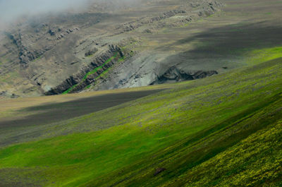 High angle view of grassy field