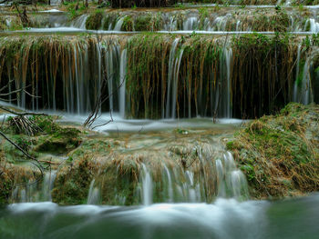 Scenic view of waterfall in forest
