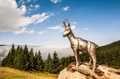 Chamois statue on mountain against sky