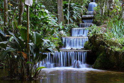 Scenic view of waterfall