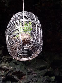 Close-up of illuminated lamp