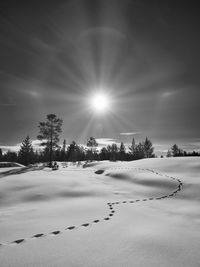 Scenic view of snowcapped field against sky