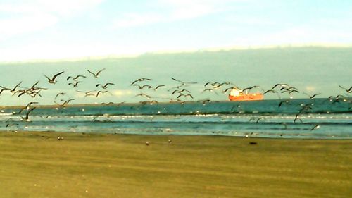 Scenic view of sea against sky