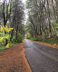 Road amidst trees in forest