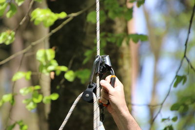 Cropped hand of man holding harness against trees