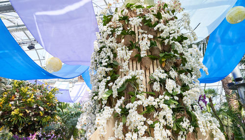 High angle view of flowering plants hanging against blue sky