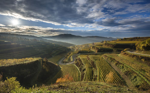 Panoramic view of agricultural field against sky