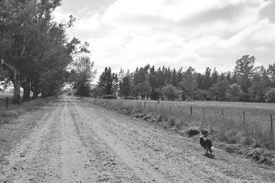 Country road against cloudy sky