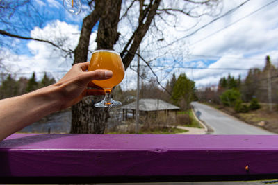 Cropped image of hand holding glass of car against trees