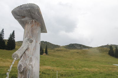 Close-up of wood against sky