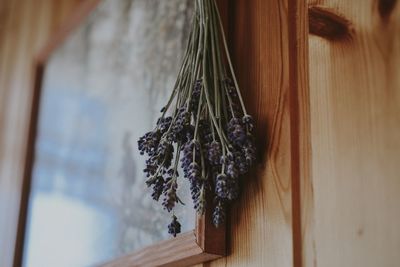 High angle view of flowers and picture frame on wooden table