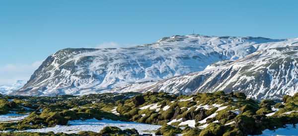 Panoramic image of the lava field of skaftareldahraun, winter in iceland, europe