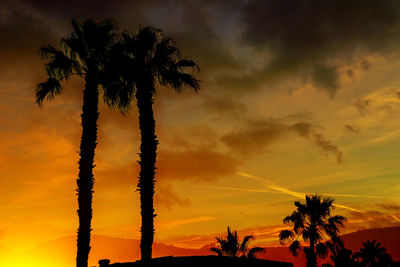 Low angle view of silhouette palm trees against romantic sky