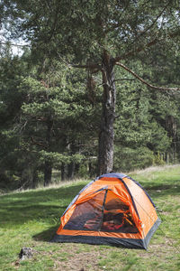 Tent on field by trees in forest