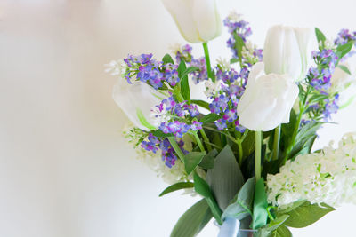 Close-up of white flowers blooming outdoors