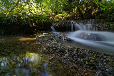 View of waterfall in forest