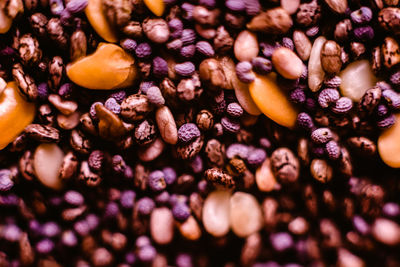 Full frame shot of purple flowers