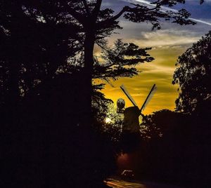 Silhouette trees against sky during sunset