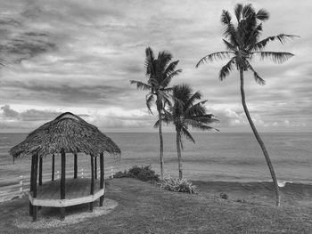 Palm trees on beach against sky