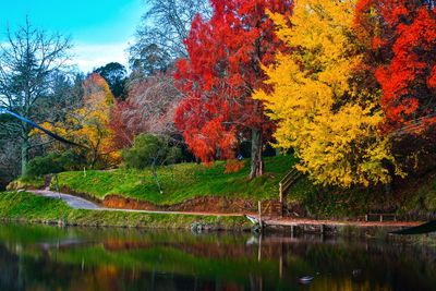 Scenic view of lake in forest during autumn