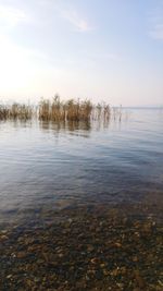 Scenic view of lake against sky