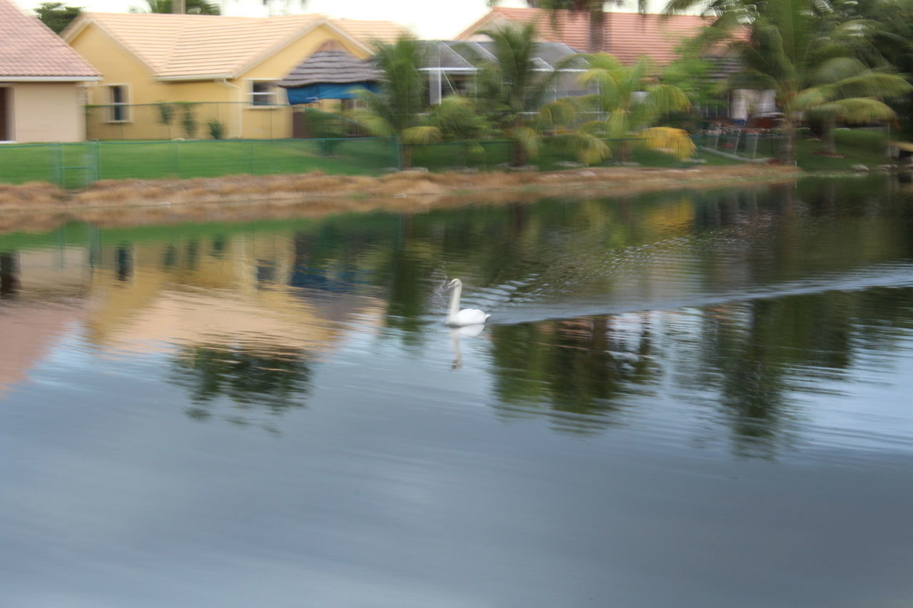 REFLECTION OF HOUSES ON WATER