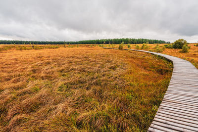 Landscape in the high fens nature park in the eifel, belgium.