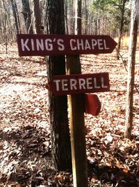 Information sign on tree trunk