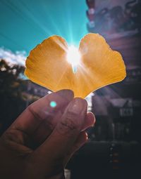 Close-up of hand holding yellow petals