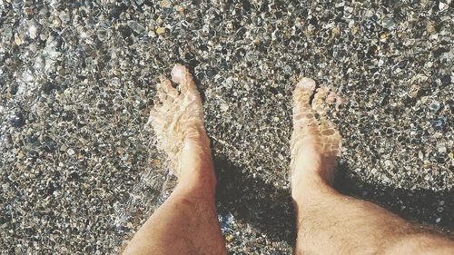 Low section of man standing in water