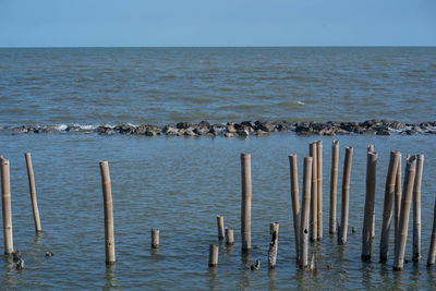 Wooden posts in sea against clear sky