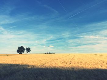 Scenic view of landscape against cloudy sky