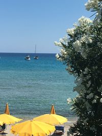 Scenic view of sea against clear blue sky