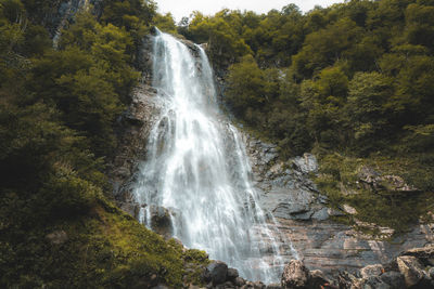 Scenic view of waterfall in forest