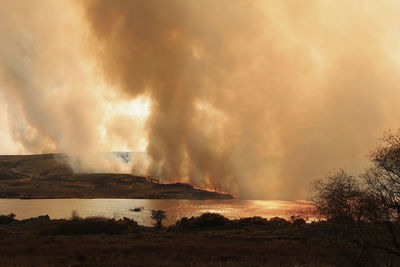 Forest fire at riverbank