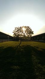 Scenic view of grassy field against sky at sunset